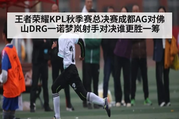 王者荣耀KPL秋季赛总决赛成都AG对佛山DRG一诺梦岚射手对决谁更胜一筹